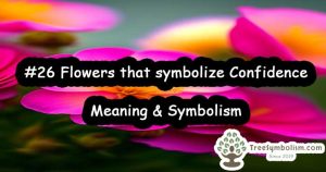 #26 Flowers that symbolize Confidence - Meaning & Symbolism