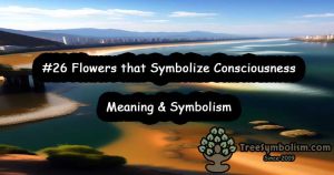 #26 Flowers that Symbolize Consciousness - Meaning & Symbolism