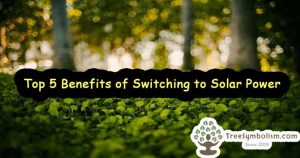 Top 5 Benefits of Switching to Solar Power - More Than Just Energy Savings